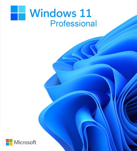 Windows 11 Professional licentie